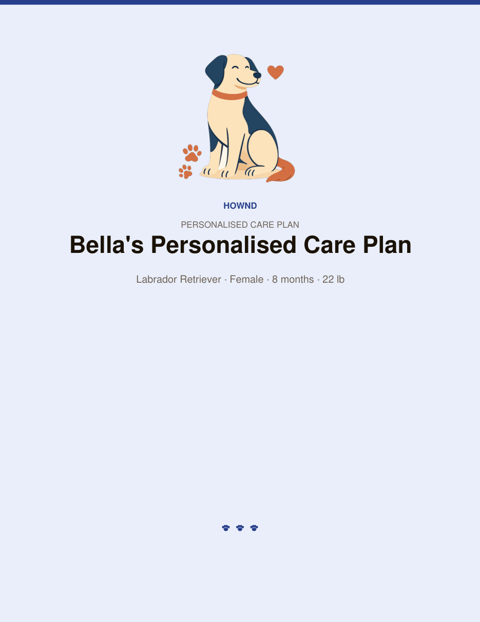Personalised Dog Care Plan — sample page 1