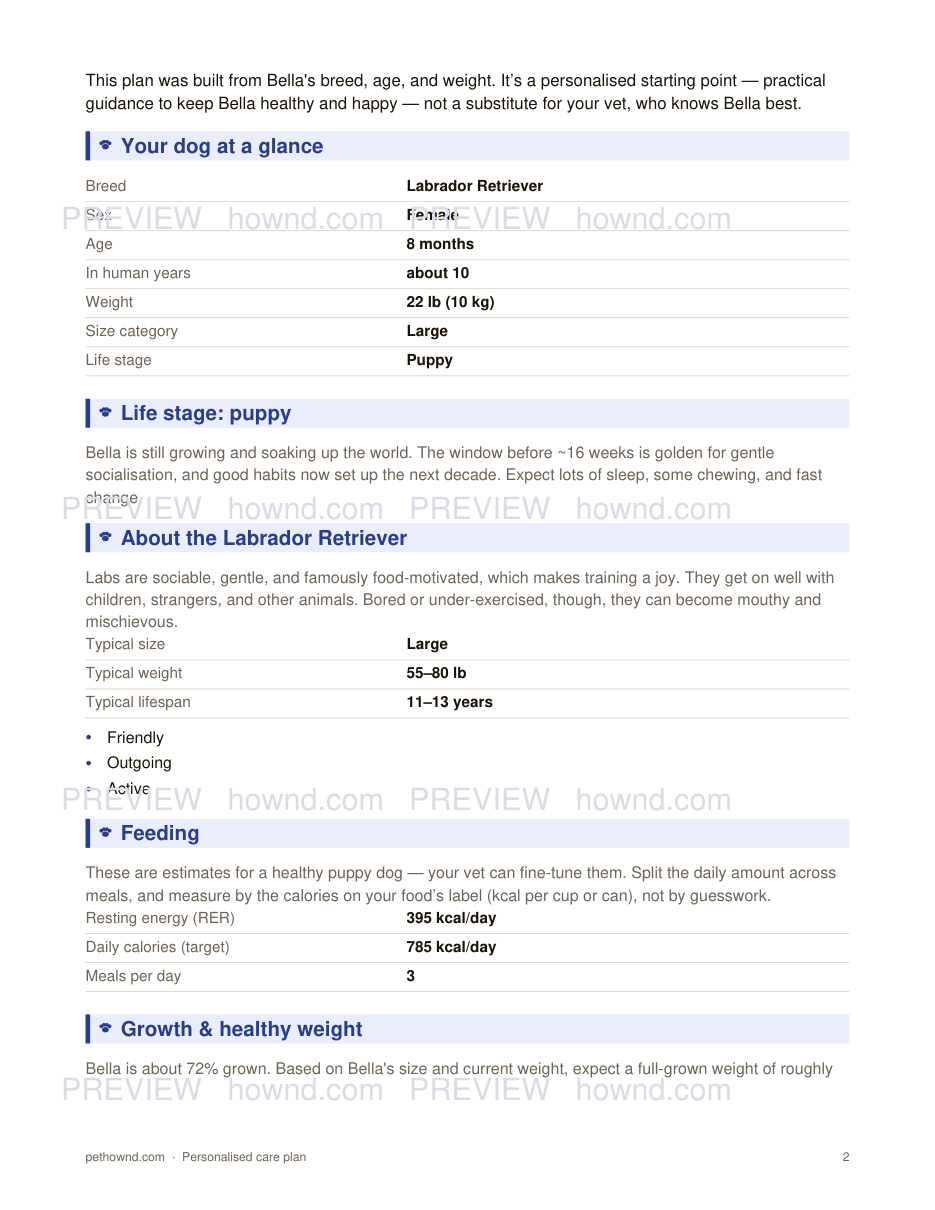 Personalised Dog Care Plan — sample page 2