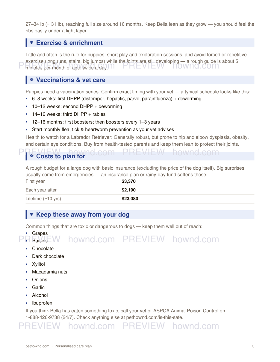 Personalised Dog Care Plan — sample page 3